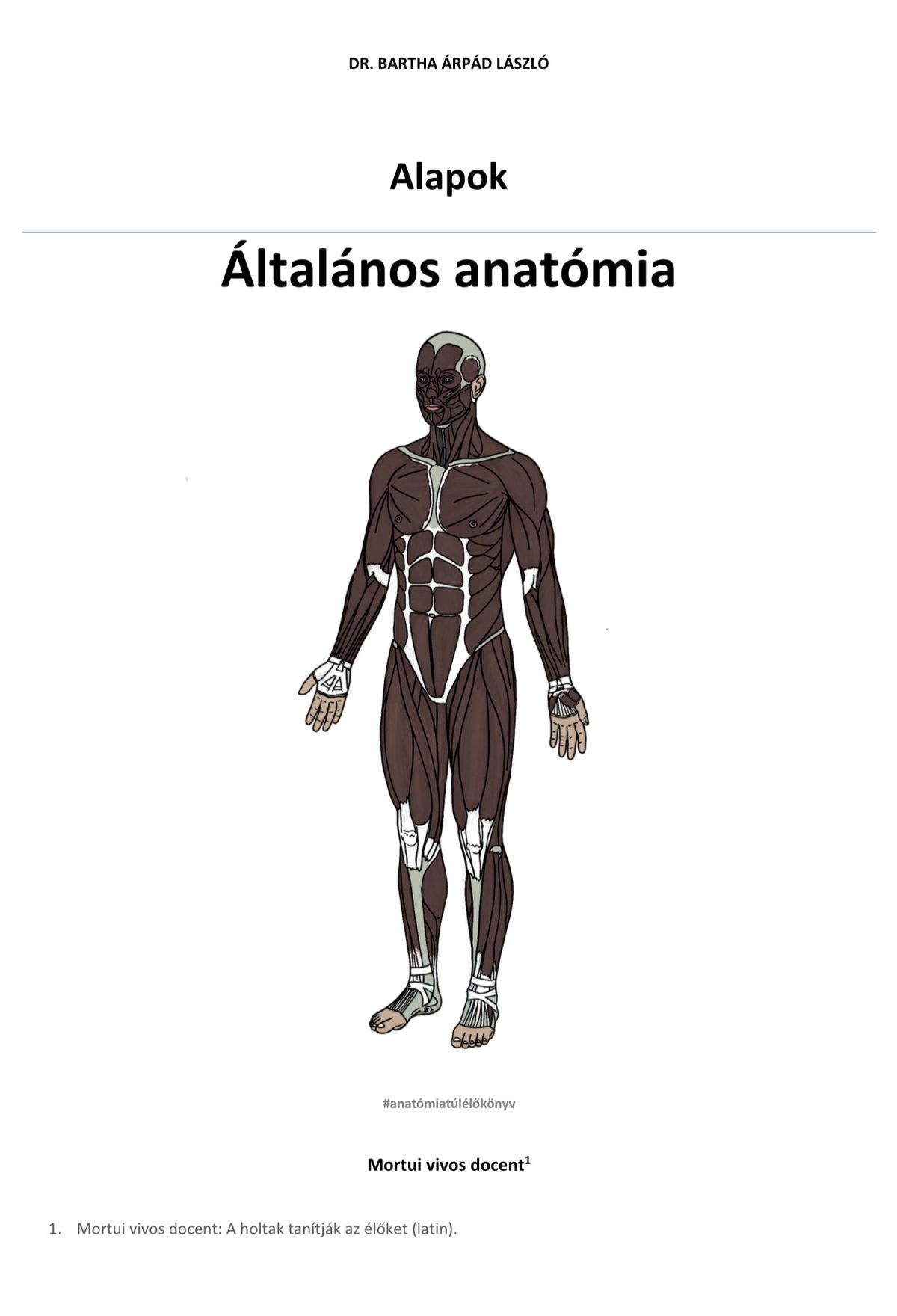 Alapok - Általános anatómia