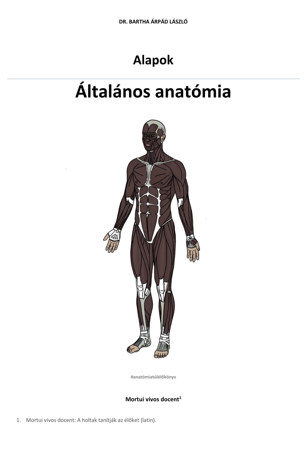 Alapok - Általános anatómia