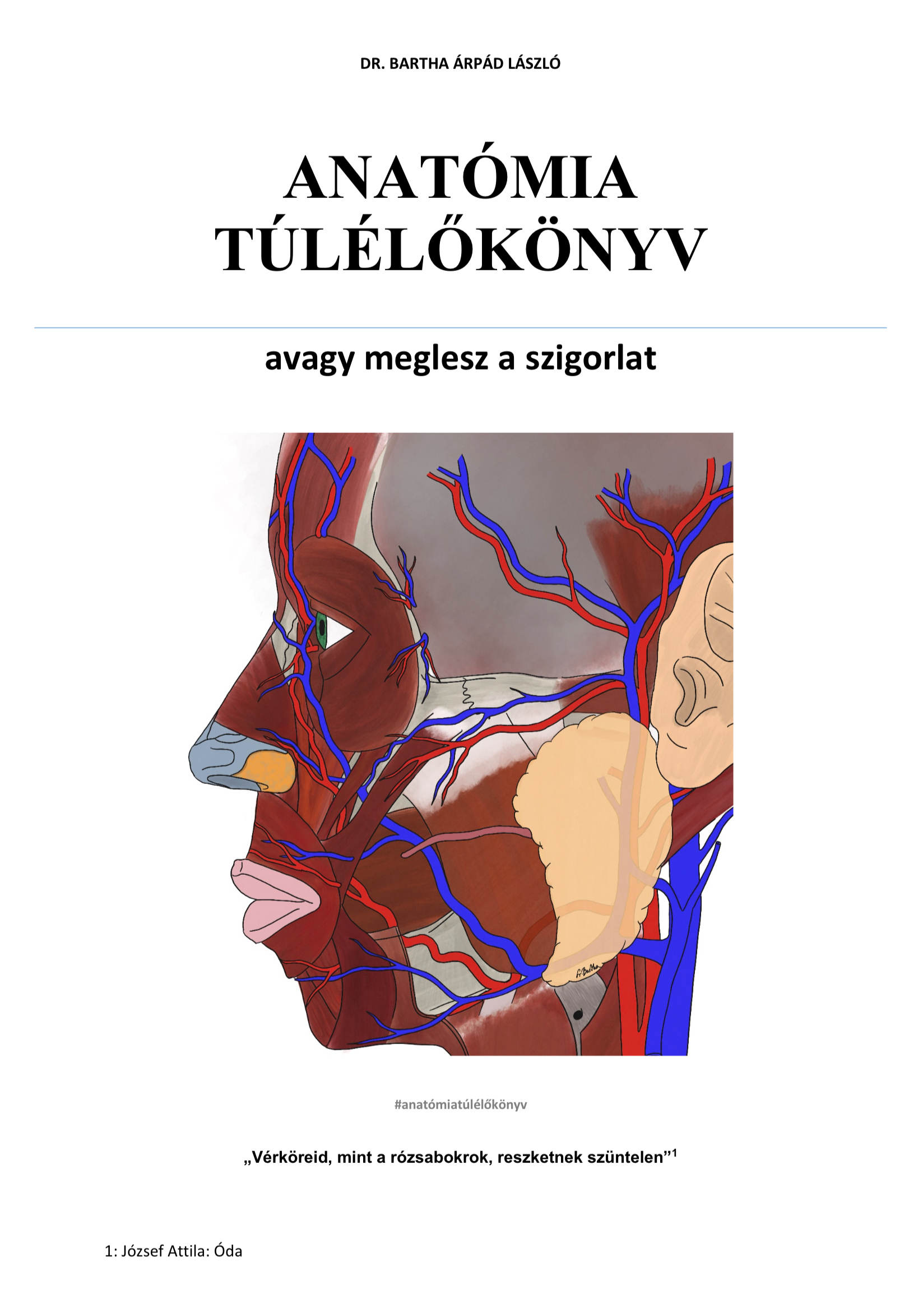 Anatómia Túlélőkönyv - a teljes jegyzet