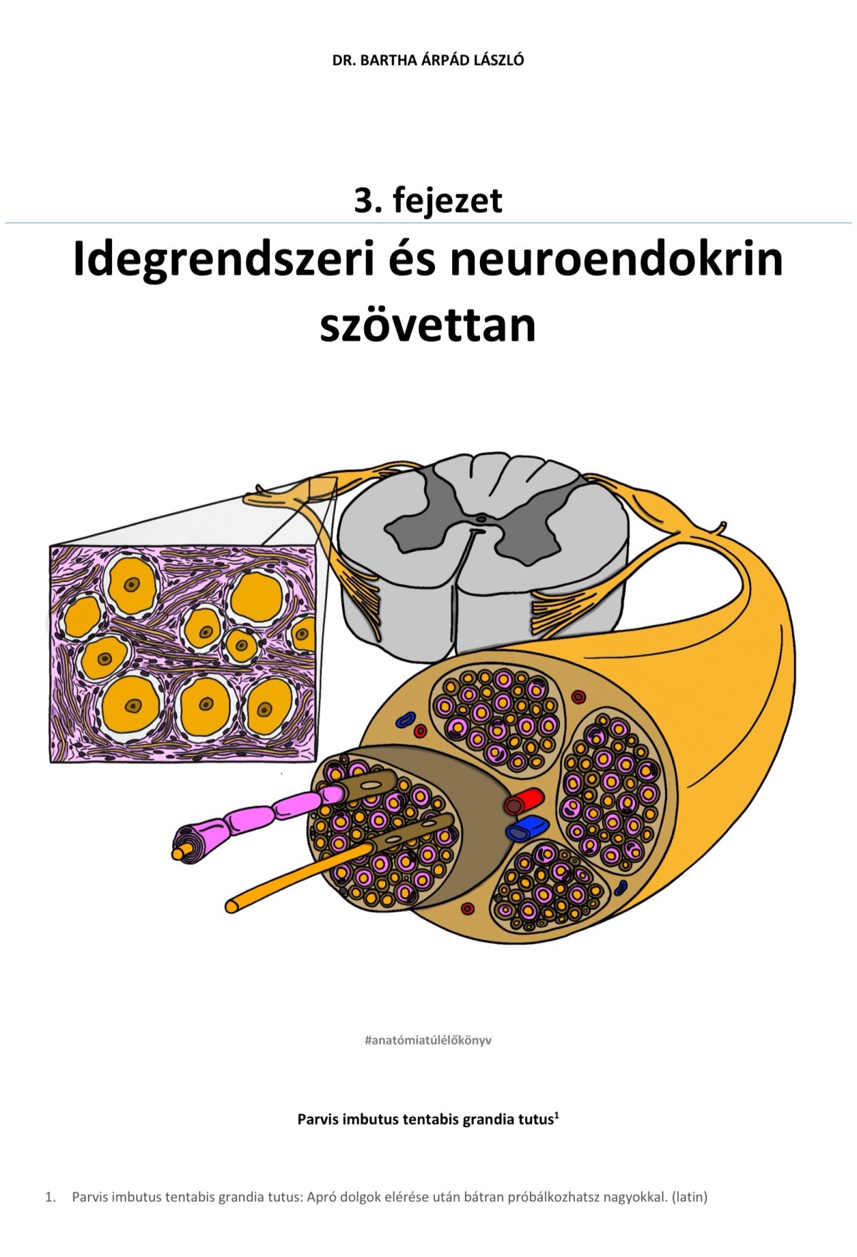 3. fejezet – Idegrendszeri és neuroendokrin szövettan