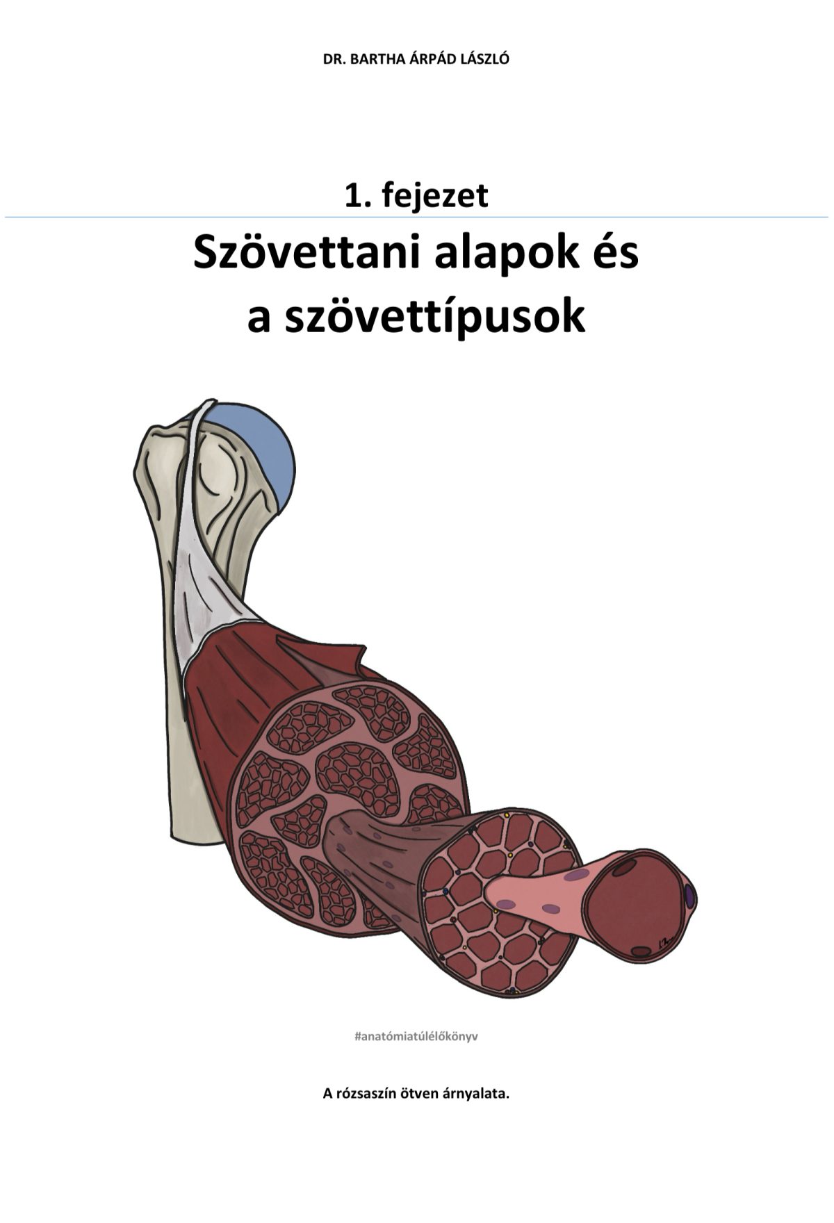 1. fejezet – Szövettani alapok és szövettípusok