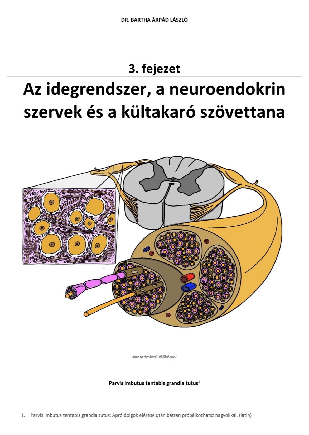 3. fejezet – Az idegrendszer, a neuroendokrin szervek és a kültakaró szövettana