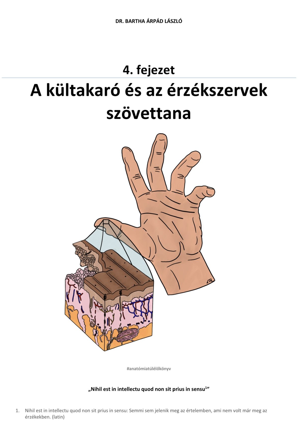 4. fejezet – A kültakaró és az érzékszervek szövettana
